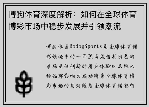 博狗体育深度解析：如何在全球体育博彩市场中稳步发展并引领潮流